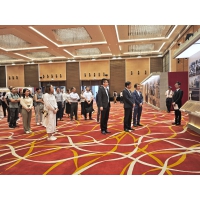 Visita do pessoal do FDC à Exposição do 80.º Aniversário da Vitória na Guerra de Resistência do Povo Chinês contra a Agressão Japonesa e na Guerra Mundial Antifascista